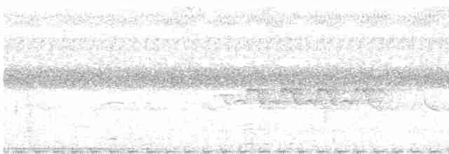 papuasanger (henrietta) - ML597820861