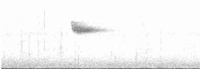 Вилохвістка білочуба (підвид sinensis/indicus) - ML597822511