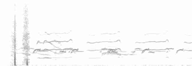 Black-tailed Godwit - ML597822971