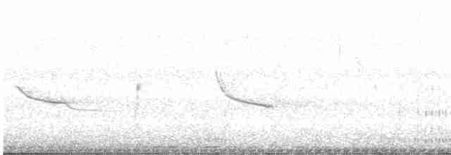Gallinule d'Amérique - ML597851391