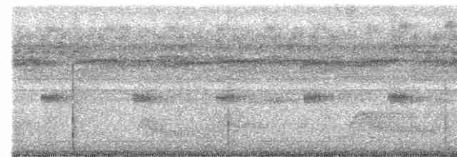 Pauraquenachtschwalbe - ML597862301