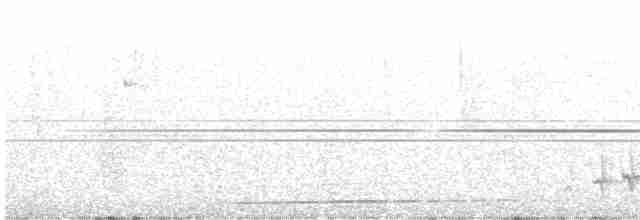 Fleckenbrust-Ameisenfänger - ML597876841