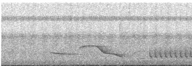 Kara Gerdanlı Çıtkuşu - ML597883881