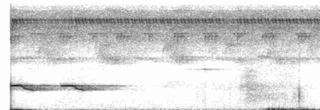 Weißschulter-Ameisenvogel - ML597888911