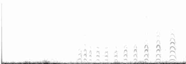 Common Gallinule - ML597892431