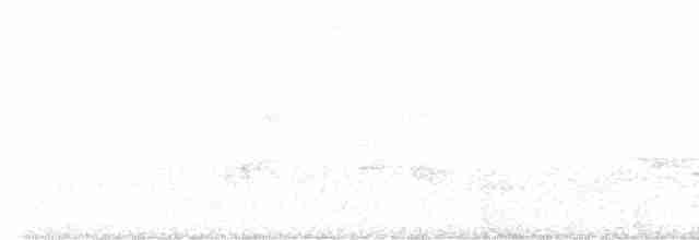 Серогрудый крапивник - ML597911691