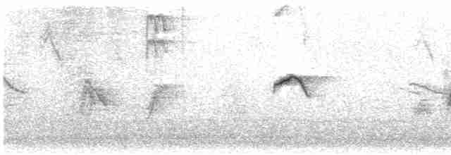 Common Chiffchaff (Siberian) - ML597957591
