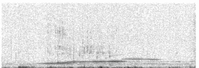 Гагара полярна - ML597971981