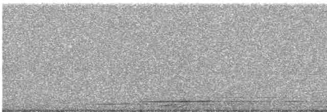 Гагара полярна - ML597971991