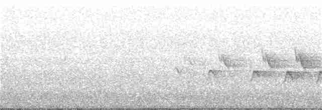 Kentucky Warbler - ML59798431