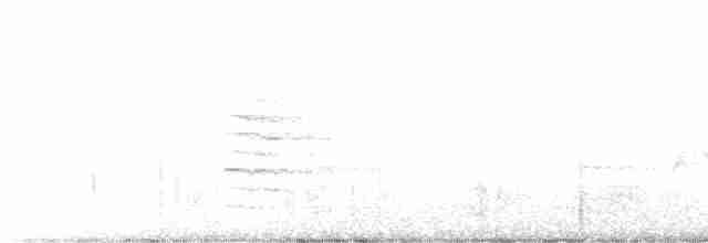 Kara Kanatlı Piranga - ML597989271