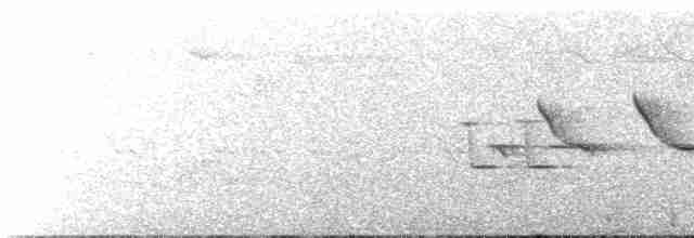 Buff-rumped Warbler - ML597999181