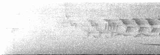 Зернолуск чорнокрилий - ML597999261