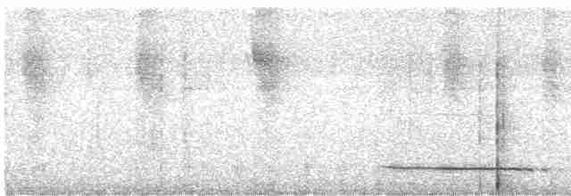 Сичик-горобець болівійський - ML598051941
