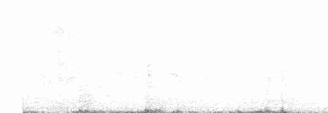 Al Kulaklı Arapbülbülü - ML598061801