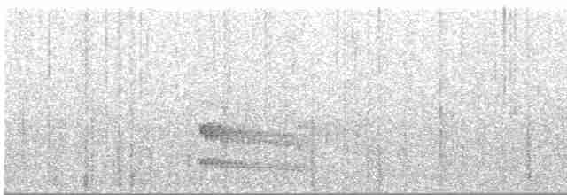 Atlantik Kara Gerdanlı Trogonu - ML598100231