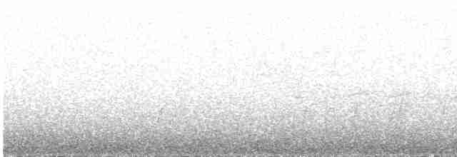Çizgili Başlı Yerçavuşu - ML598101051