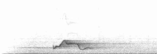 Pauraquenachtschwalbe - ML598111131