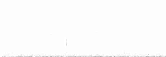 strakapoud bělohlavý - ML598113891