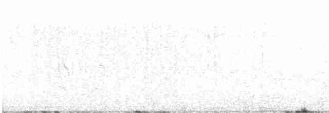 Cordon-noir à col roux - ML598123161
