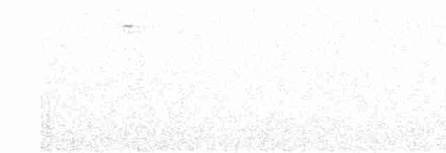 Paruline verdâtre - ML598134021