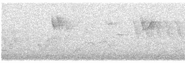 Gray Wagtail - ML598136451