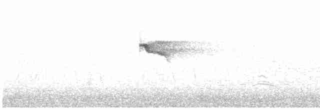 Common Kingfisher - ML598137851
