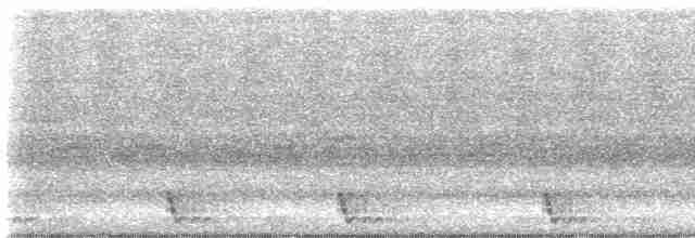 Large-tailed Nightjar - ML598156821