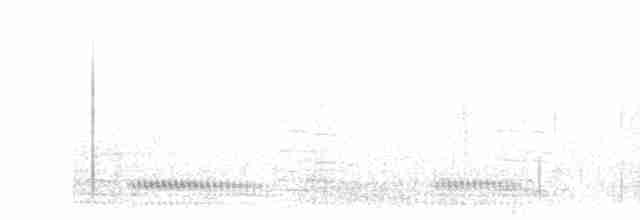 Белошейная гагара - ML598160561