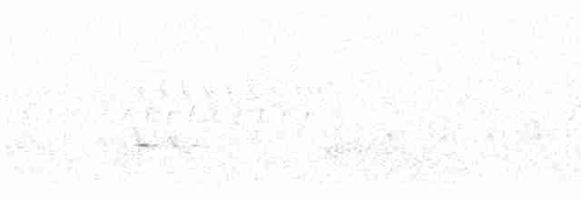 Дрізд-короткодзьоб малий - ML598168561
