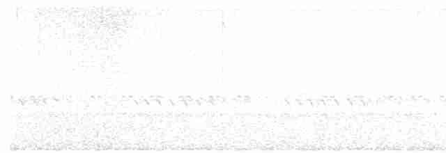 Pauraquenachtschwalbe - ML598177101