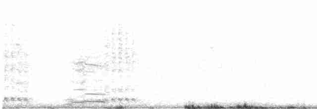 jeřáb australský - ML598183791