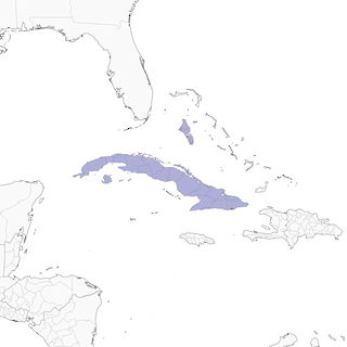 Distribution of the Great Lizard-Cuckoo - Range Map