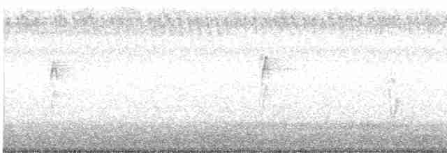 Vesper Sparrow - ML598248441