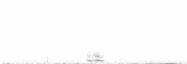 Белохвостая куропатка - ML598261781