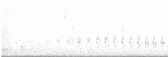 Белогорлая качолота - ML598272561