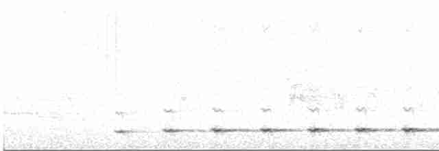 Chevêchette australe - ML598272821