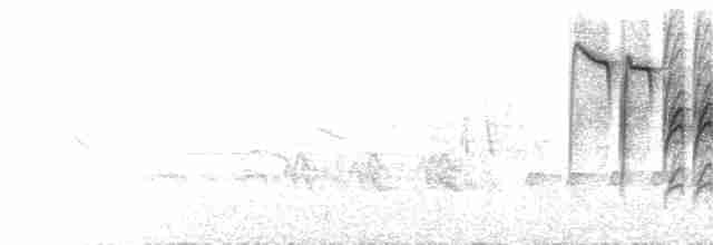 Белая лазоревка [Желтогрудый] - ML598301261