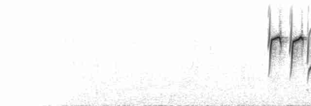 Белая лазоревка [Желтогрудый] - ML598301311