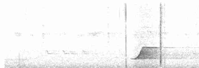 Tinamou à grands sourcils - ML598301431