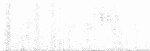 alkoun mramorovaný - ML598316501