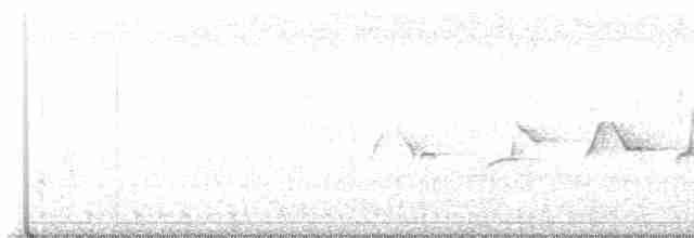 Gray-crowned Yellowthroat - ML598320061