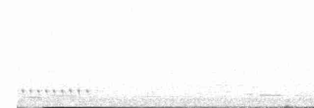 White-eared Honeyeater - ML598324751