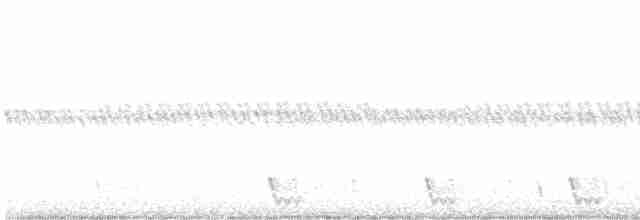 Large-tailed Nightjar - ML598376991