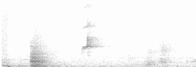 Черноголовый трогон - ML598397011