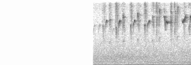 Conirostre oreillard - ML598412071