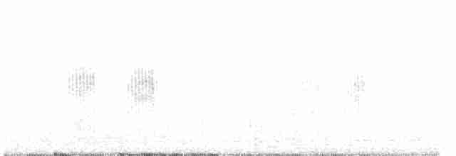 Woodchat Shrike - ML598438511