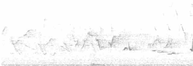 גבתאי ורוד-חזה - ML598482331