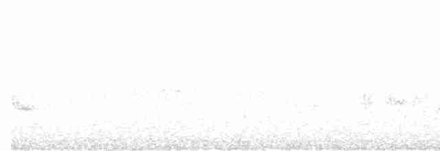 Graumantel-Brillenvogel - ML598537281