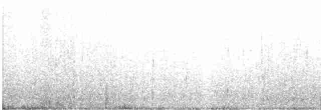 Патагонская трясохвостка - ML598538811